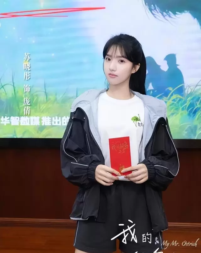 肖战《小城良方》定档待播，张婧仪陈哲远《梦花廷》官宣开机，苏晓彤何洛洛《我的鸵鸟先生》进入后期：相关图片